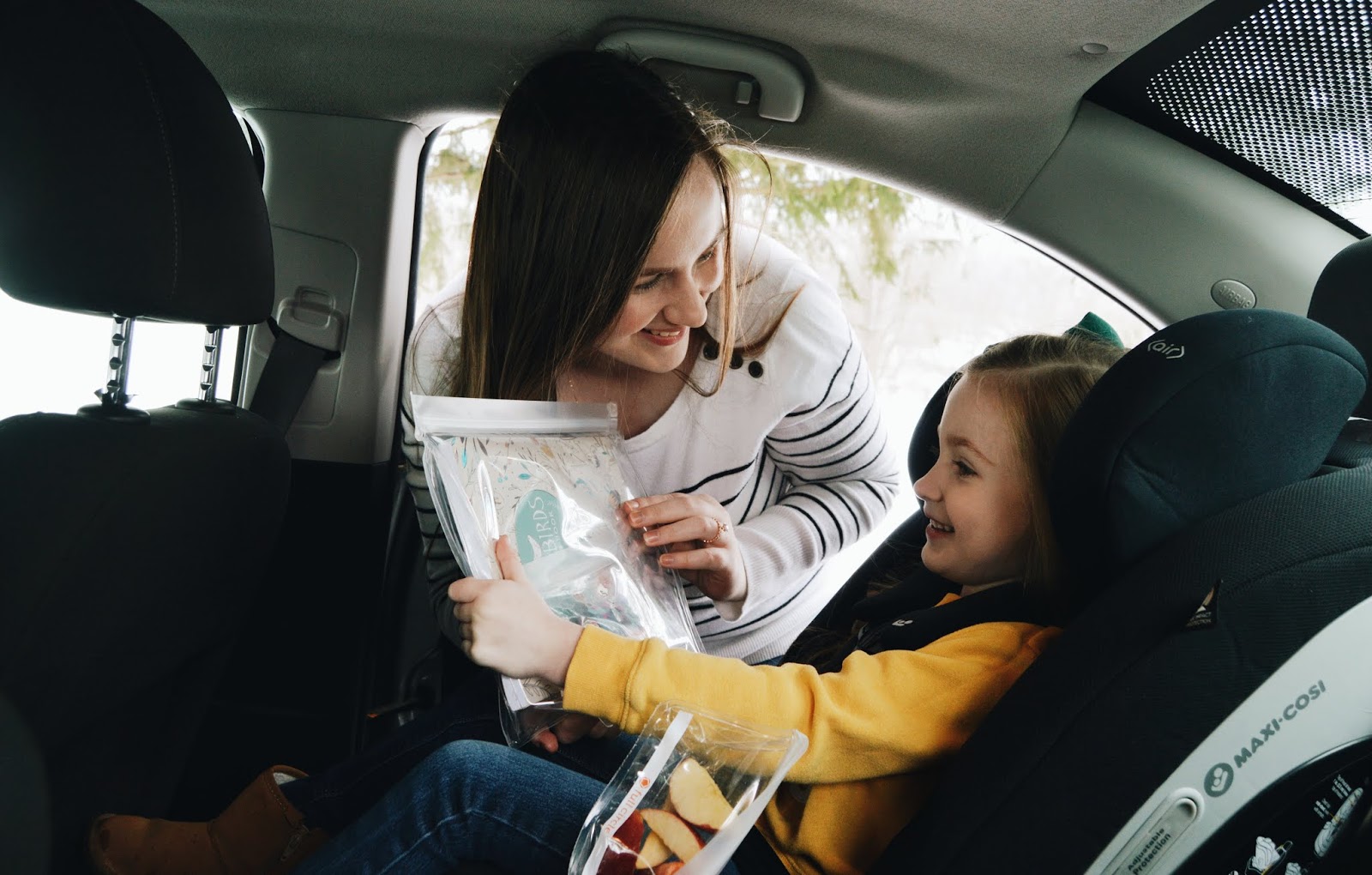 target maxi cosi magellan