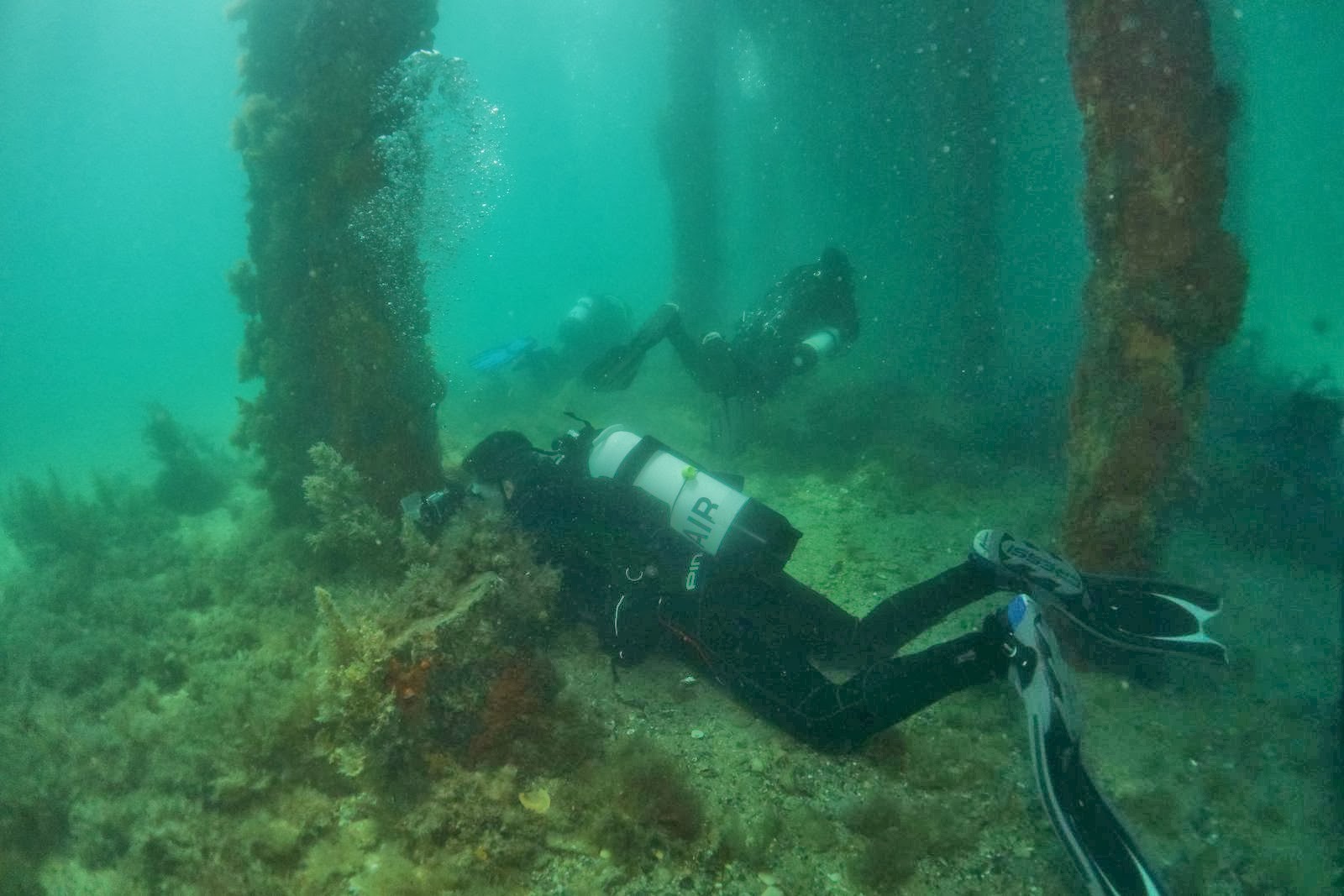 Diving Blairgowrie & Rye Pier Dives