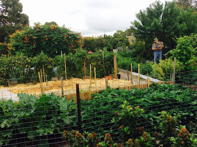 veggie%2Bgarden.jpg