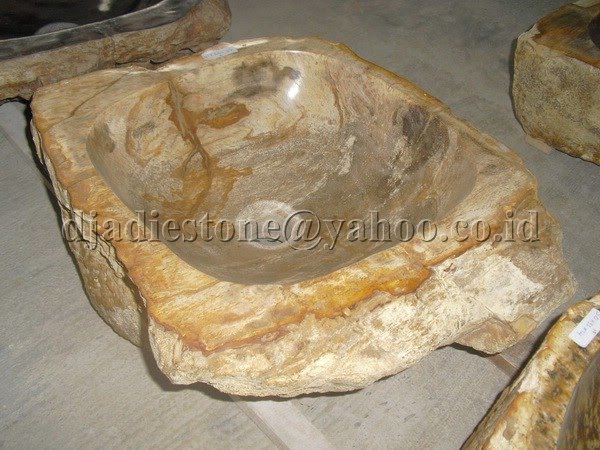 petrified wash basin - vasque wood fossil