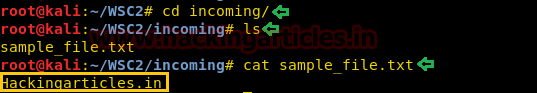 WebSocket C2 Command and Control