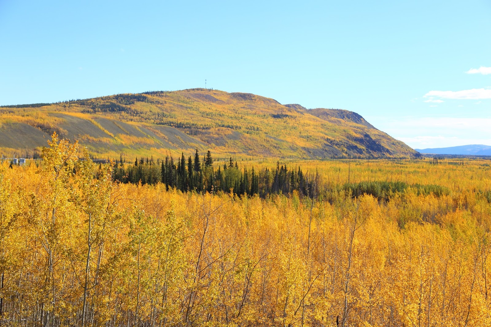 Carmacks Yukon Territory 2016
