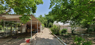 menderes camonu koyunde satilik 2 700 m2 bahceli 3 katli ev izmir de satilik arsalar