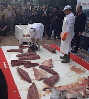 ronqueo+atun+rojo+mestres+blue+fin