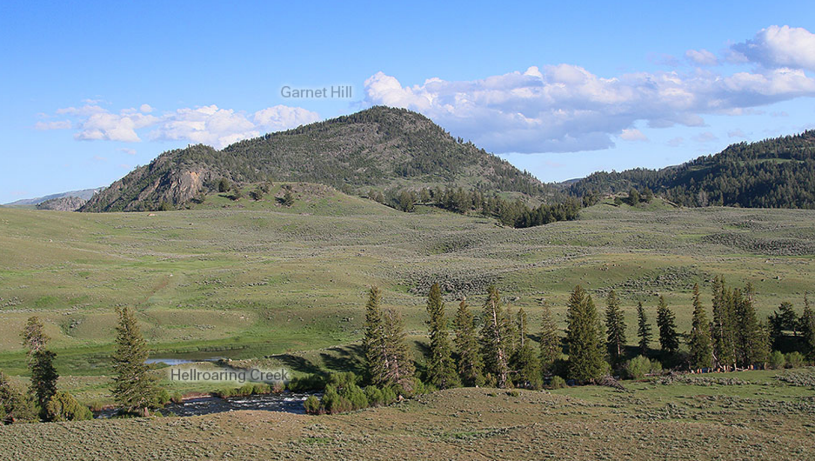 A Yellowstone Christmas by Peggy L. Henderson A Yellowstone Christmas by Peggy L. Henderson