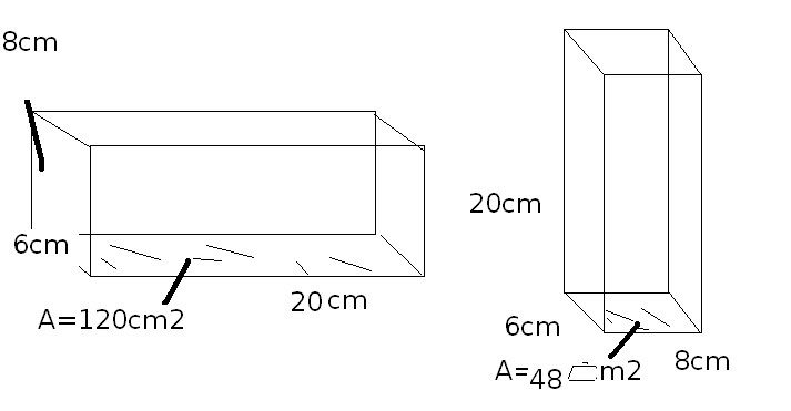 817 Math (2010): February 2011