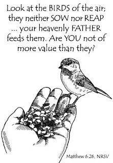 consider the birds of the air; they neither sow nor reap. 你們看那天上的飛鳥，也不種，也不收，也不積蓄在倉裡，你們的天父尚且養活他。你們不比飛鳥貴重得多麼？ 
