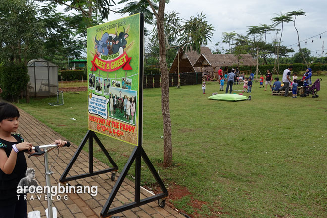 kerbau buffalo pit scientia square park tangerang