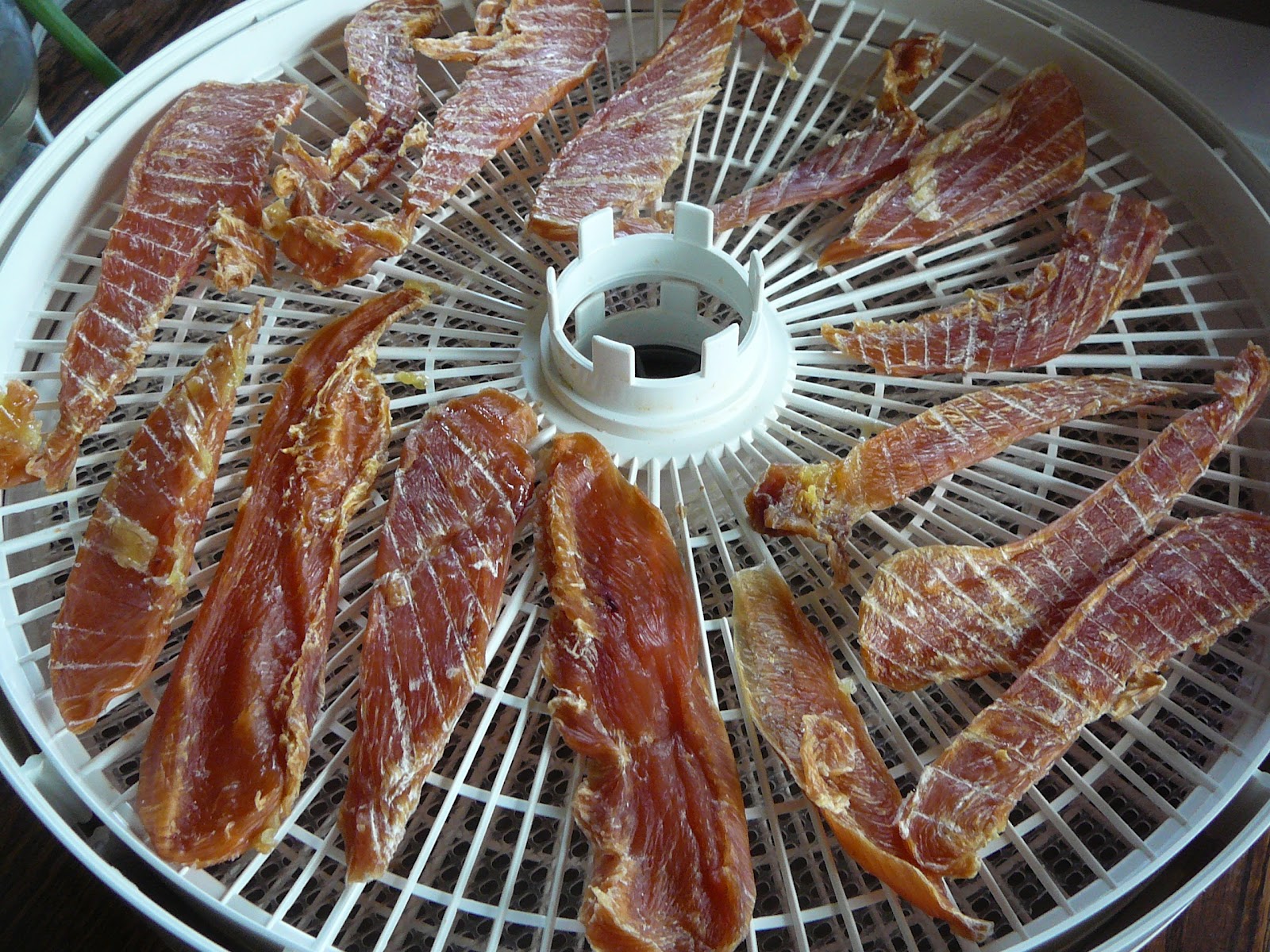 The Hidden Pantry Spoiling Molly Rotten with Dehydrated Chicken Strips