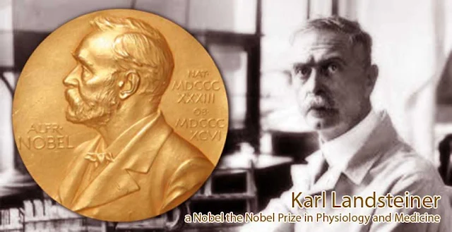 Karl Landsteiner a Nobel the Nobel Prize in Physiology and Medicine