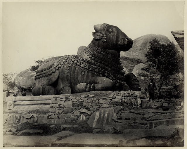 Stone Bull Sculpture at Chamundi Hill Mysore Karnataka - 1880's