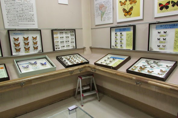 Zoos in Japan: Minoo Park Insect Museum