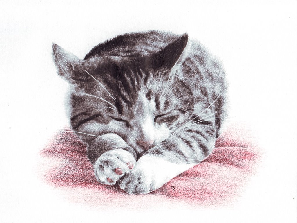 Catnap анимация. Спящий котик. Котик рисунок. Котенок лежит.