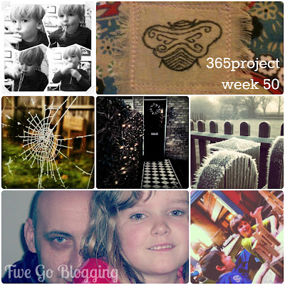 Five Go Blogging 365project week 50