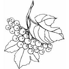 Berries / Berry Coloring Pages To Girls | Learn To Coloring