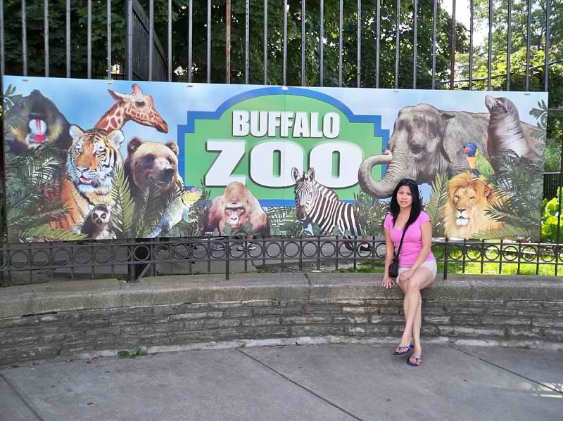 Visit The Buffalo Zoo Travel Quest US Road Trip and Travel Destinations