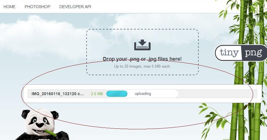 Ukuran Foto 1 Mb Berapa Pixel Dengan Ukuran Foto 1 Mb Berapa Pixel Dengan
