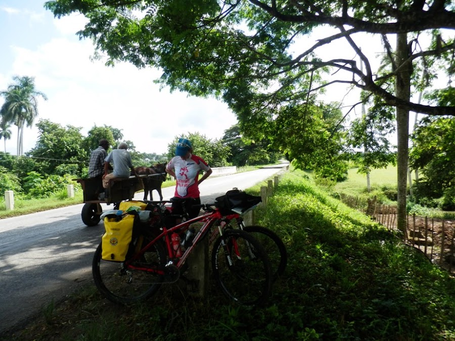 coche-de-caballos-en-la-carretera-central-cc-de-cuba-ruta-btt-de-enlacima