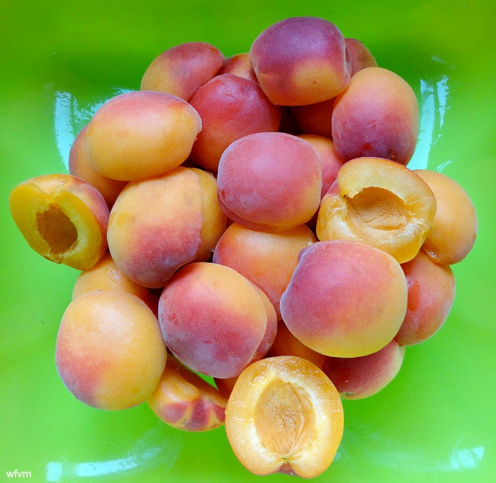 Where Five Valleys Meet French Apricot Conserve