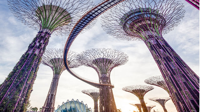 singapur, singapore, merlion, skypark, marina bay sands, botanik bahçesi, orkide bahçesi, orchard, en yüksek havuz, gardens by the bay, skywalk, akvaryum, universal studios, sentosa, car cable