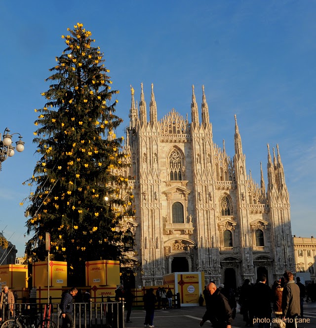 Milano, albero di Natale in piazza Duomo