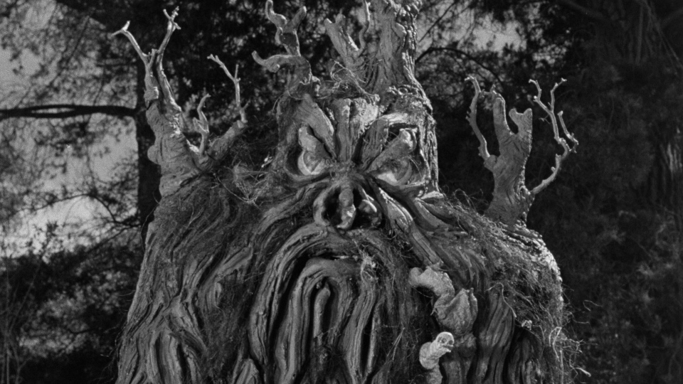 Watch Karl The Butcher Vs Axe Online Full Movie Watch Karl The Butcher Vs Axe Online Full Movie