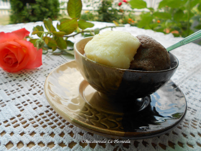 Inghetata de vanilie si cacao