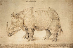 albrecht pen durer rhinoceros 1515 duerer drawings drawing ink charcoal museum british artists durero renaissance