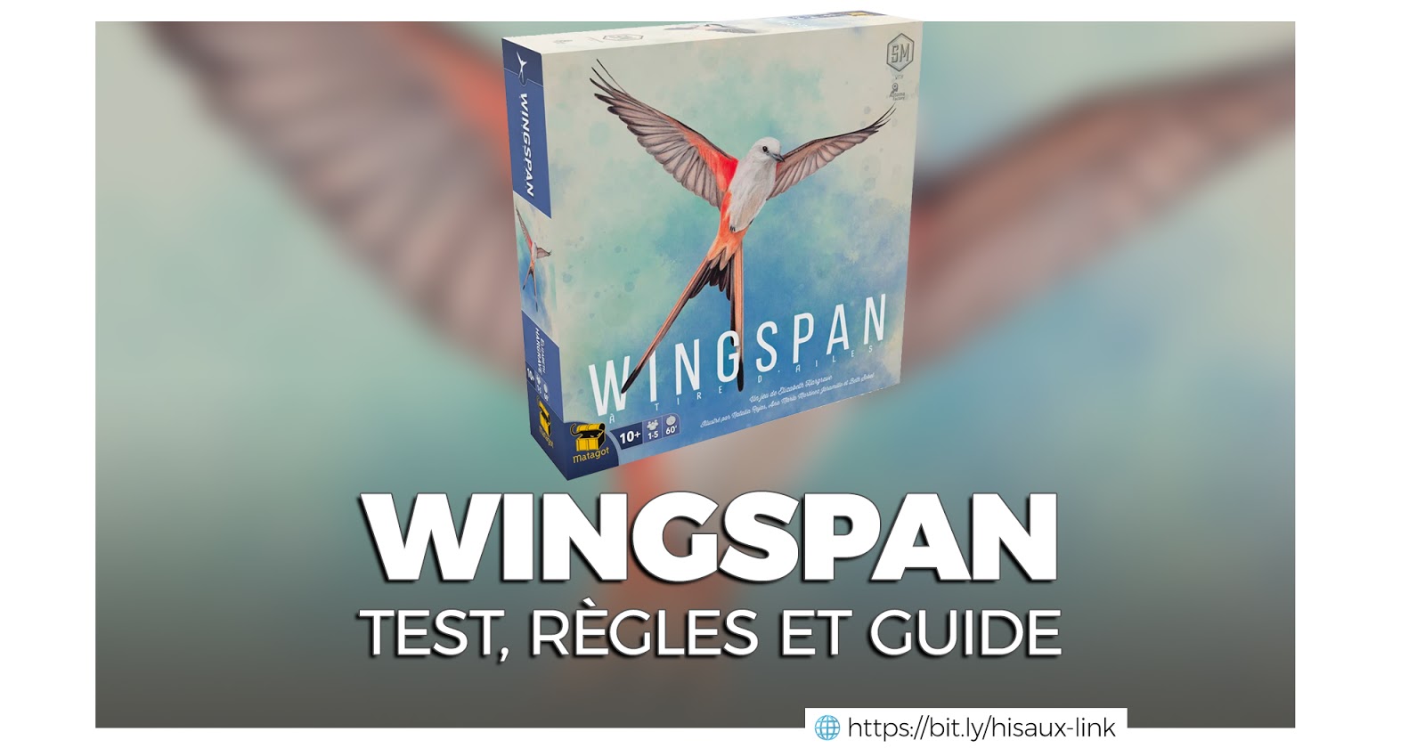 Test, avis et guide Wingspan
