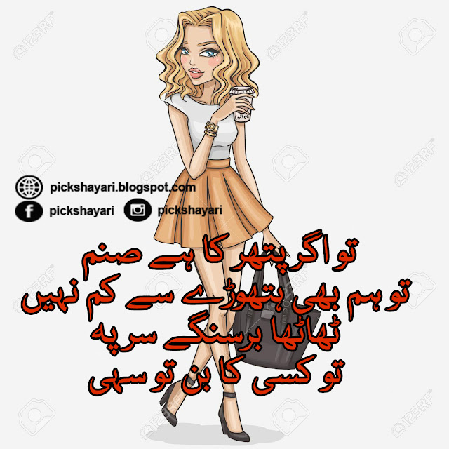 Funny Shayari in Urdu