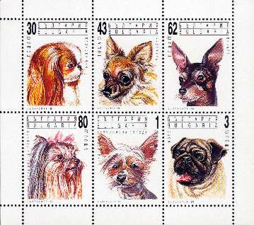 1991年ブルガリア共和国　狆　チワワ　ミニチュア・ピンシャー ヨークシャー・テリア　チャイニーズ・クレステッド・ドッグ　パグの切手シート