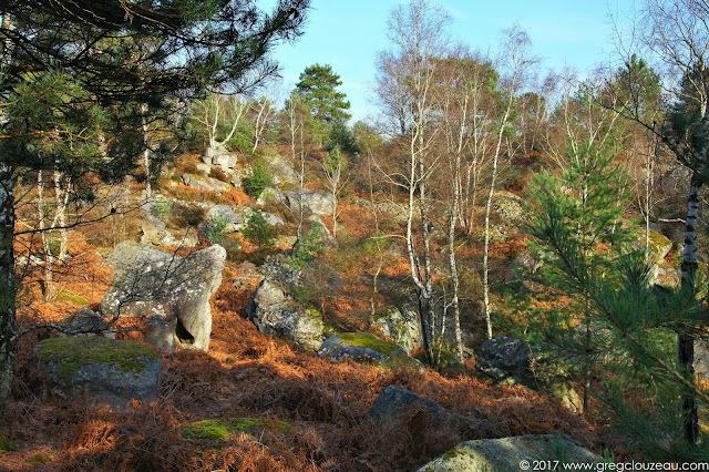 Désert d'Apremont, Forêt de Fontainebleau, Barbizon. Désert d'Apremont, Forêt de Fontainebleau, Barbizon.
