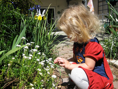 Growing A Garden In Davis: April 2011