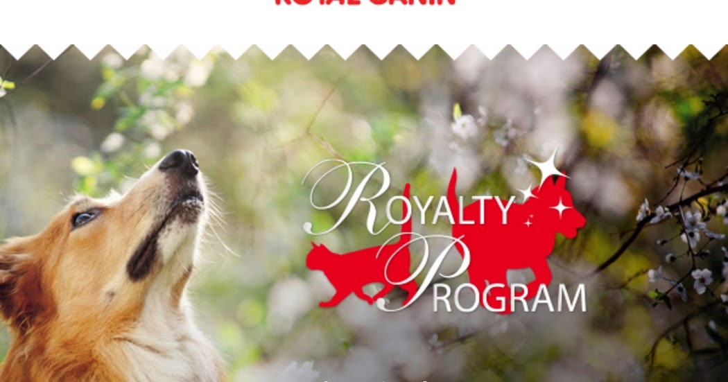 Horta Dendauw Kuurne Spaar punten bij aankoop van Royal Canin bij