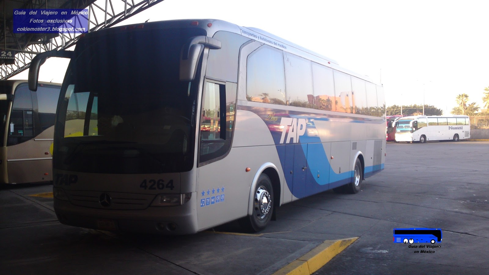 TRANSPORTES Y AUTOBUSES DEL PACÍFICO (TAP)
