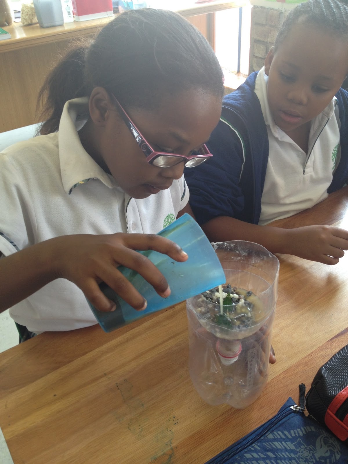 Sagewood Academic Corner Grade 3 Science Experiment