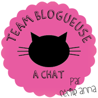 Team Blogueuse A Chat