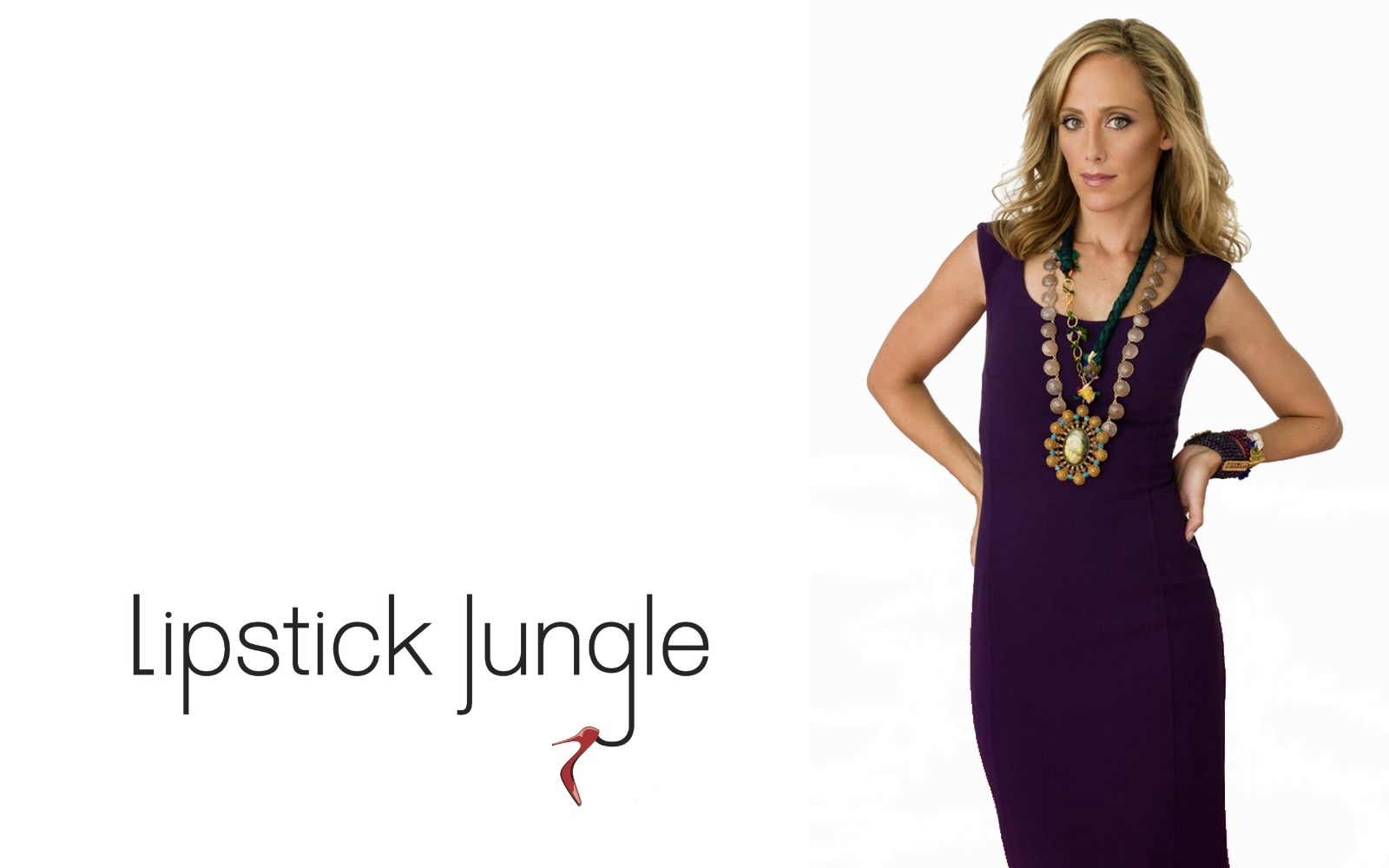 Filmovízia Lipstick Jungle [20082009]