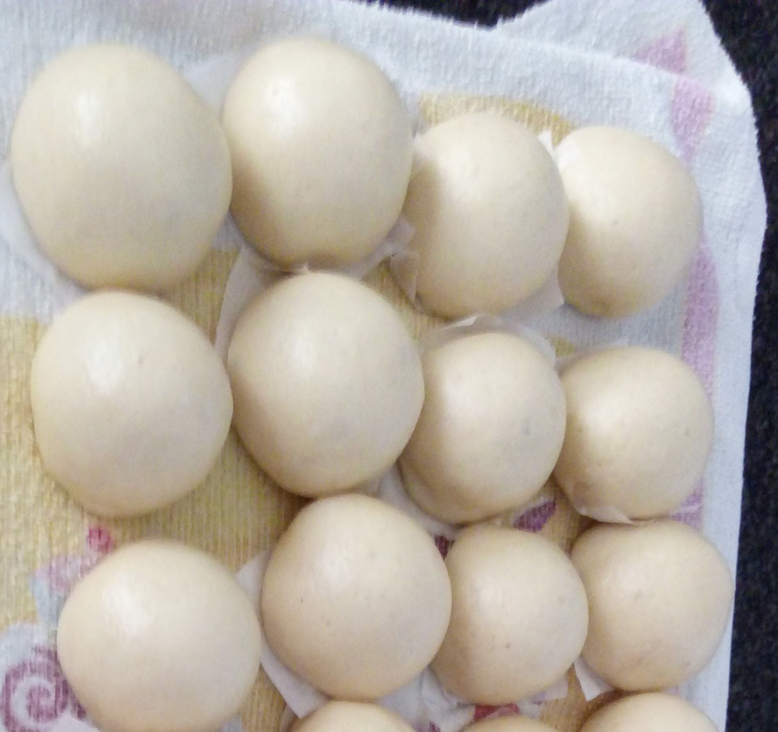 Oishii: Fukashi manju