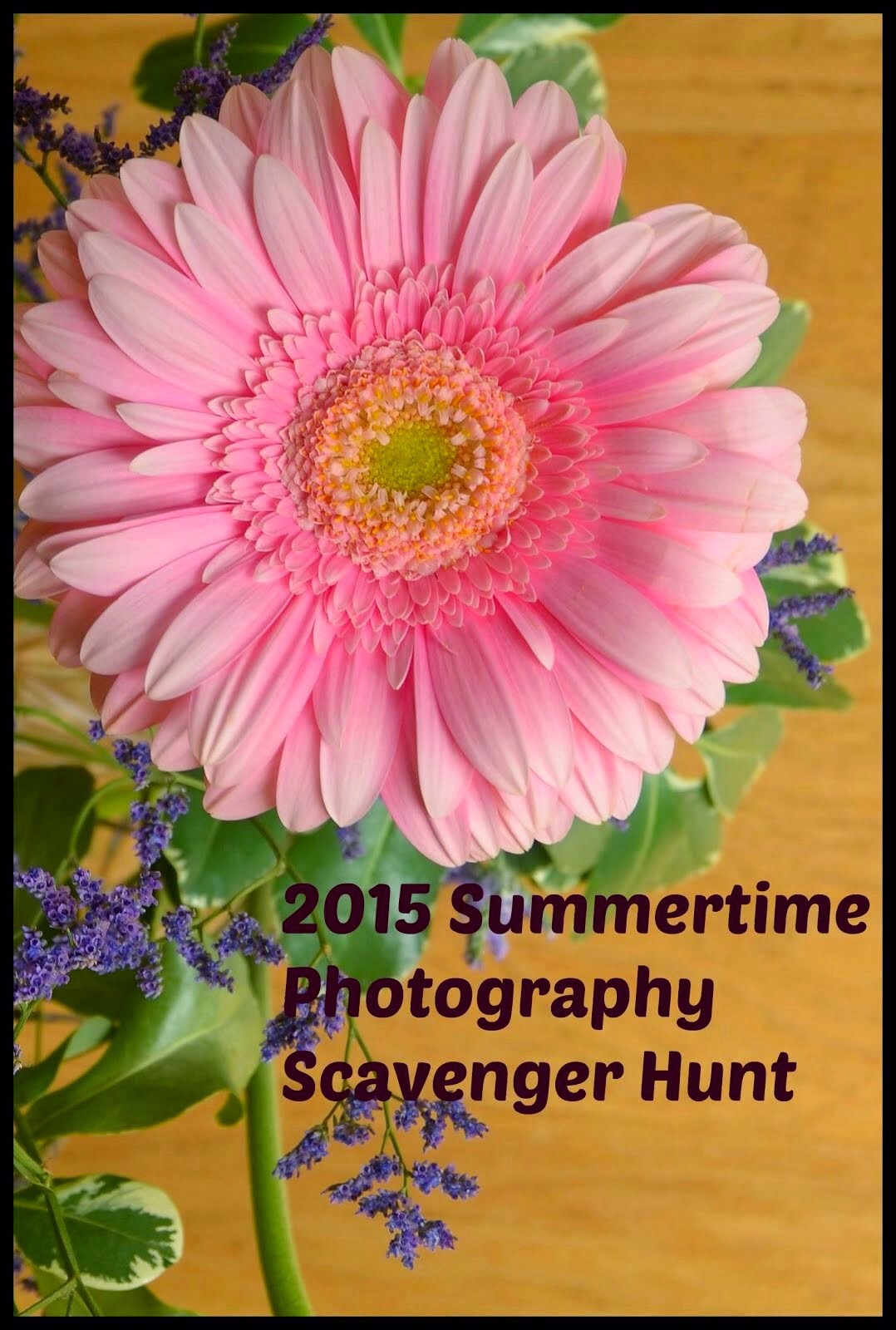 2015 Summertime Photography Scavenger Hunt