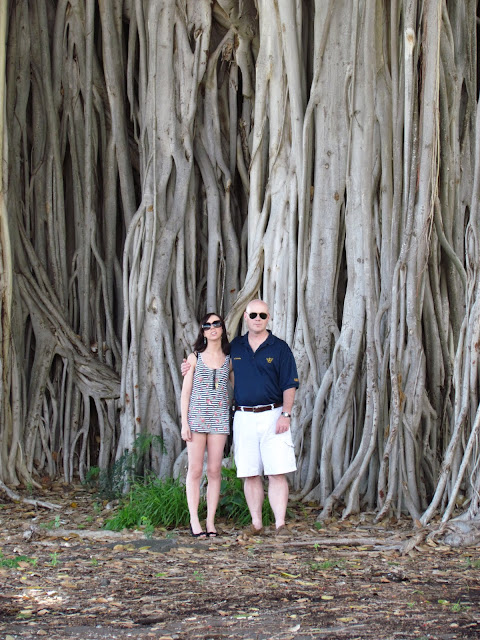 Indian Fig Tree Starts With Ba - No escape: most insect colonisers of an introduced fig tree in Cyprus come from the plant’s native range