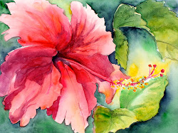 hibiscus watercolor flower painted exploring