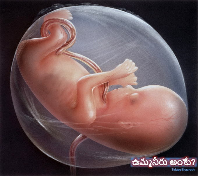 ఉమ్మనీరు అంటే? - What is amniotic fluid?