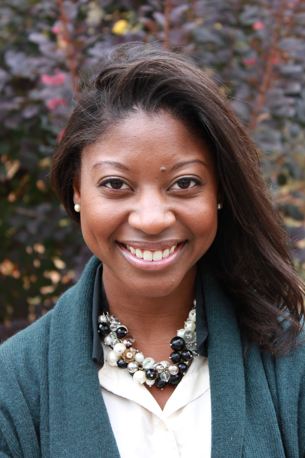 Publishing and Other Forms of Insanity 2 Literary Agents Seeking