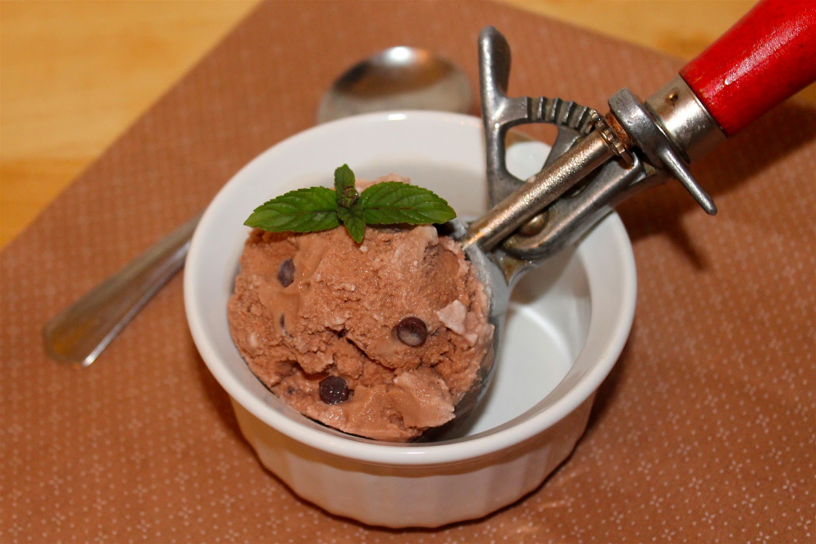 Savory Moments Chocolate mint chocolate chip ice cream