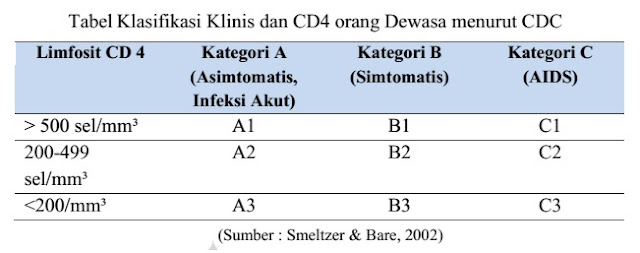 HIV/AIDS: Definisi, Cara Penularan, Klasifikasi, Sasaran Pencegahan ...