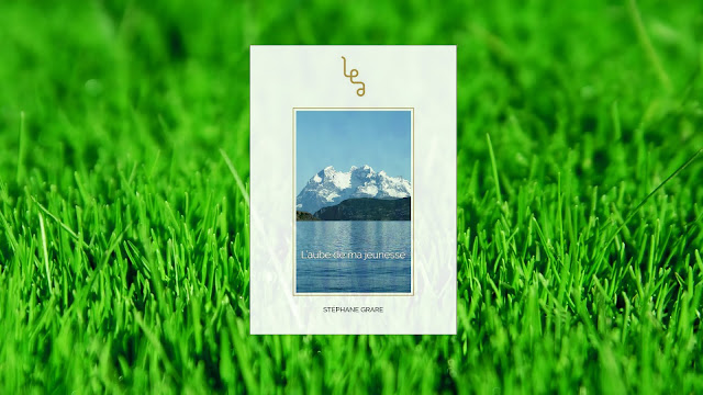 L'Aube De Ma Jeunesse de Stphane Grare (9782374310374)