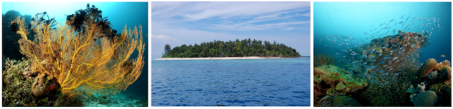 Pulau Plum (Pulau Tengah) - Wisata Halmahera Tengah