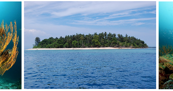 Pulau Plum (Pulau Tengah) - Wisata Halmahera Timur | Info Tempat Wisata