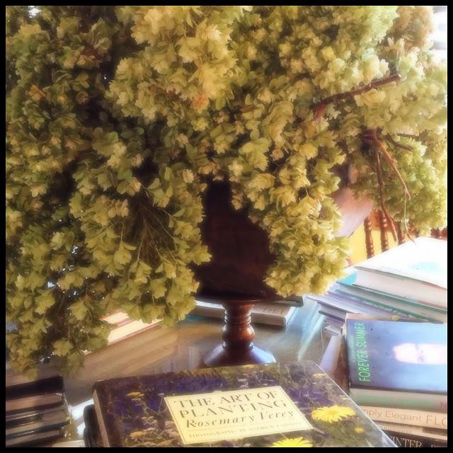 Papery and delicate dried bouquet of hydrangeas in wooden true sits in the middle of a large round book table.